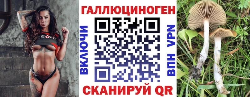 Купить где  Елец  Псилоцибиновые грибы Psilocybine cubensis 